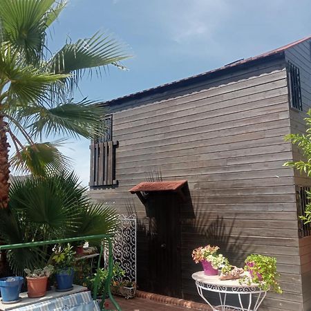La Cabana Nevada Cenes De La Vega Extérieur photo